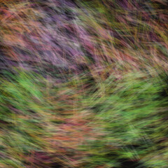 Graphic Design Backgrounds Wallpaper Backdrop for Packaging, Labelling, Stationery