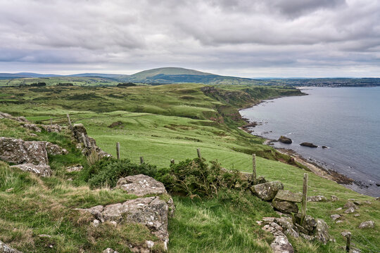 Green Pastures, devided by hedges and stone walls
in the Republic of Ireland