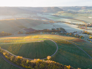 Luftaufnahme der herbstlichen Weinberge bei Öhringen