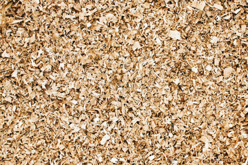 Wood chips texture. Pile of dry woodchips. Sawdust background. Biomass pattern. Brown chopped tree background.