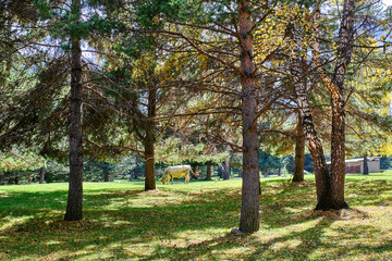 Naklejka premium Kirgistan - Djety Öguz Schlucht