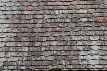 Ruined tiles on the old house.