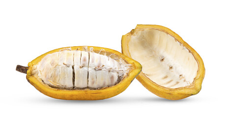 Fresh cocoa isolated on transparent png