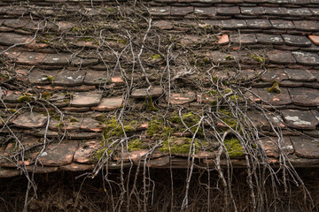 Ruined tiles on the old house.