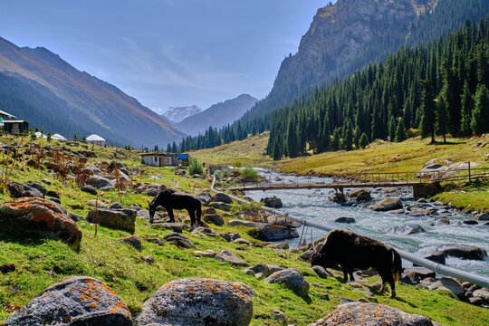 Karakol 이미지 찾아보기 4,188 스톡 사진, 벡터 및 비디오 Adobe Stock