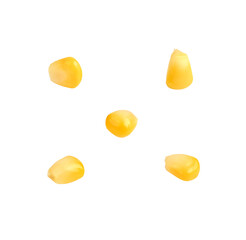 Corn, Collection of delicious corn seeds, on transparent png.