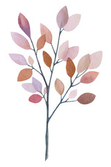 Hand Drawn Watercolor branch. Natural decorative branch single element collection. Isolated on white background.