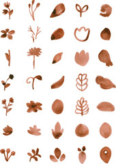 Set of watercolor floral elements isolated on white background. Loose watercolor technique.