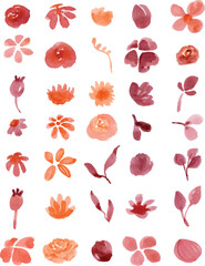 Set of watercolor floral elements isolated on white background. Loose watercolor technique.