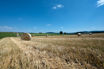 Straw bales on the stubble field