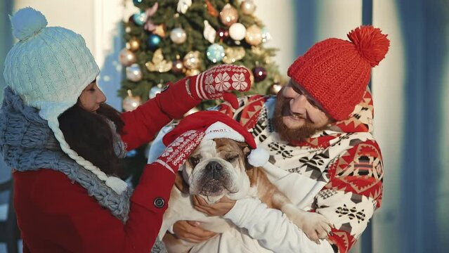 Couple And Their Dog in santa cap spend time together kissing and hugging at Christmas eve. Winter New year holidays concept. Young people love each other. Pet lovers with their English bulldog doggy
