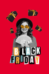 Collage photo banner of fashionista lady wear sunhat hold stack money want pay more for new gifts black friday last offer isolated on red background