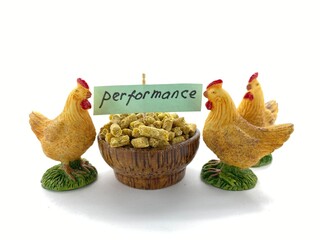 Concept, POULTRY PERFORMANCE ISSUES, Feed Digestibility and conversion, enzymes and feed additives, mycotoxin and gut health, image for product brochures designs and data table research journal