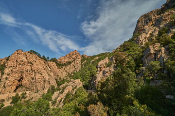 Fototapeta na wymiar red rocks of Calanche on Corsica