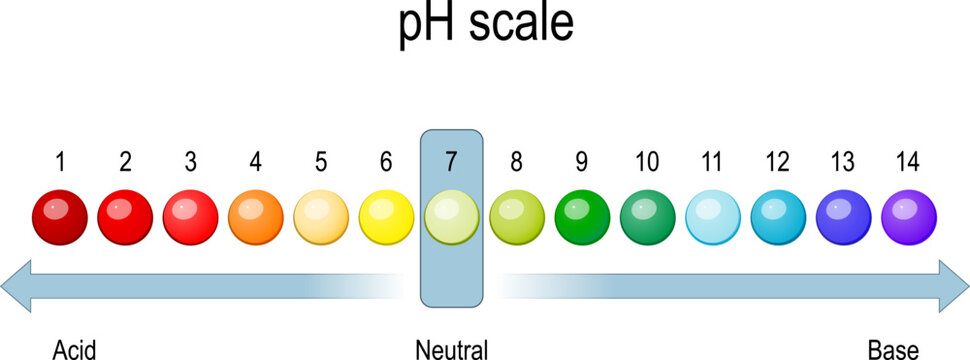 ph scale. chart of pH value