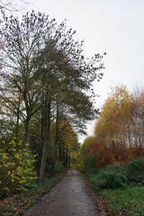 Fototapeta premium Herbst Farben