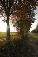 Fototapeta premium Herbst Farben