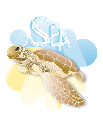 sea ​​turtle illustration sea background