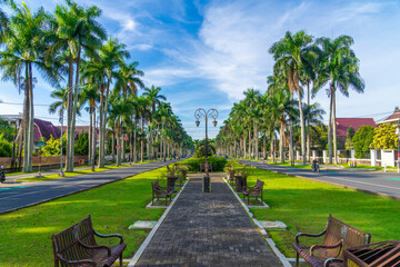 Fototapeta premium Idjen Boulevard is a landmark of Malang city with large pedestrian streets under palm trees and old Dutch architectural houses on the sides