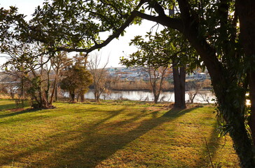 Town Visible Across the River, Pre-Sunset Light  Casts Shadows on Grass