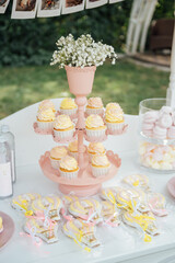 Baby birthday. French macaroons on a cake stand .Candy bar with macaron, cakes, cheesecakes, cake pops.