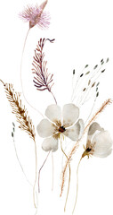 Wildflowers, herbs boho bouquet painted in watercolor. Dried pampas grass floral border. Botanical boho elements isolated on white. Wedding invitation, greeting, card, print, scrapbooking