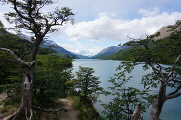 Obraz premium The view