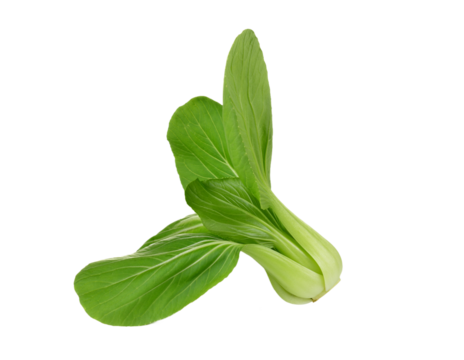 Bok choy vegetable on transparent png