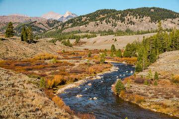 Granite Creek Rolling through Beautiful Mountain Meadowland