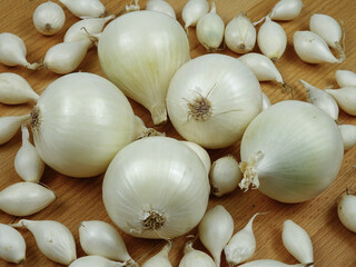 Large bulbs of white onions and onion sets for planting and growing are arranged on a wooden board, natural background