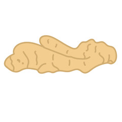 ginger spice herb hand drawn