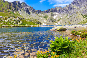 Yellow flowers on shore of beautiful lake in Hinczowa valley on sunny summer day, High Tatra Mountains, Slovakia