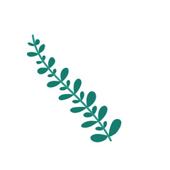 Obraz premium green tropical leaves