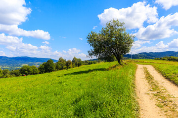 Countryside rural road in Beskidy Mountains on sunny summer day near Zywiec, Poland
