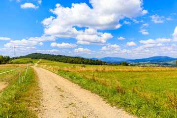 Fototapeta na wymiar Countryside rural road in Beskidy Mountains on sunny summer day near Zywiec, Poland