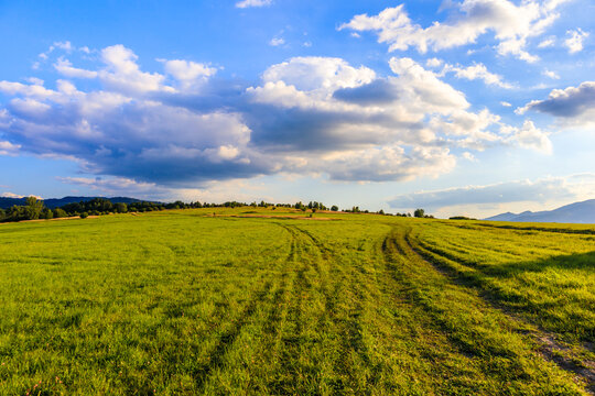 Green farming meadow in Beskidy Mountains at sunset near Zywiec , Poland