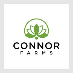 Beauty Vector lotus flowers design logo Template icon