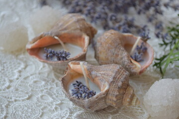 Seashell candle with lavender flower