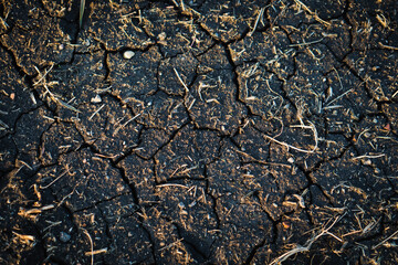 texture of dry soil