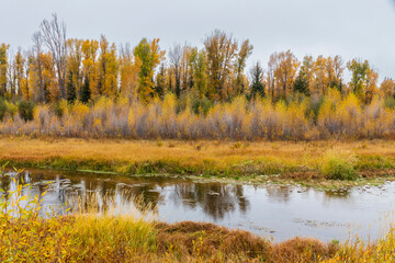 River near Grand Teton National Park. USA.