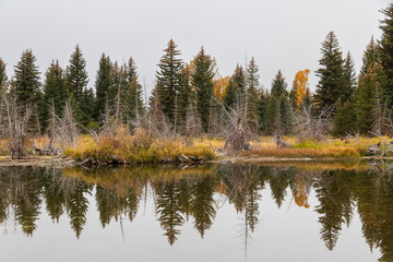 River near Grand Teton National Park. USA.