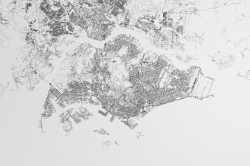 Map of the streets of Singapore on white background. 3d render, illustration - obrazy, fototapety, plakaty