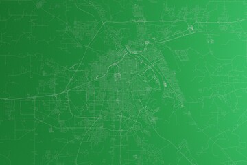 Map of the streets of Shreveport (Louisiana, USA) made with white lines on green paper. Rough background. 3d render, illustration