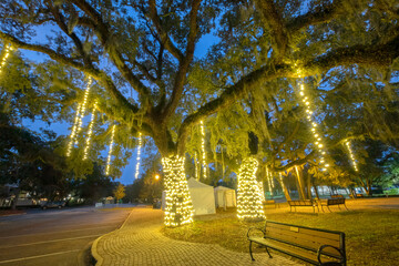 Neptune Park Illuminated during the Holidays, Saint Simons Island, Georgia