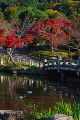 Kyoto park