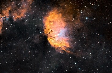 tulip nebula in cygnus
