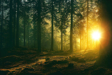 Sunlight in Euopean forest