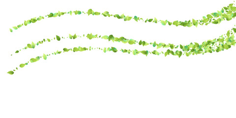 Leaves Green Falling Flying Foliage Leaf Tea Mint