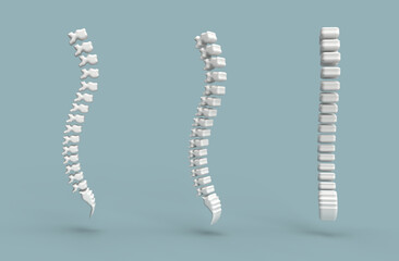3D Realistic human spine backbone and vertebral column anatomy scoliosis concept - obrazy, fototapety, plakaty