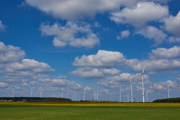 Fototapeta na wymiar Windkraftanlage mit Rapsfeld 